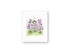 Spring Violets — Watercolor Floral Art Print by Claudia Buchanan