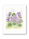 Spring Violets — Watercolor Floral Art Print by Claudia Buchanan