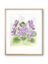 Spring Violets — Watercolor Floral Art Print by Claudia Buchanan