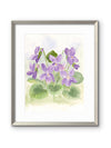 Spring Violets — Watercolor Floral Art Print by Claudia Buchanan