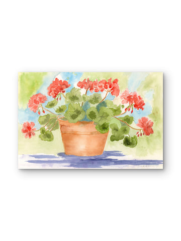 Summer Red Geraniums — Watercolor Floral Art Print by Claudia Buchanan