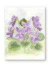 Spring Violets — Watercolor Floral Art Print by Claudia Buchanan